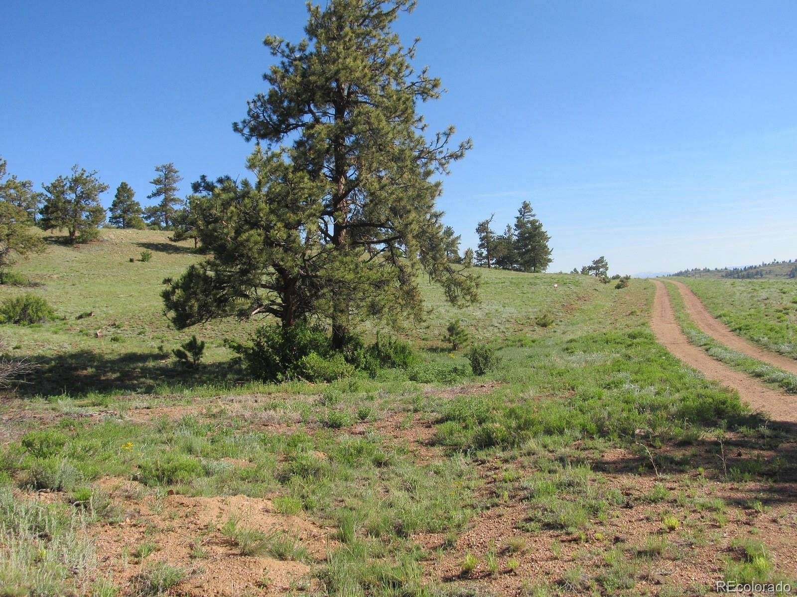 5.24 Acres of Residential Land for Sale in Hartsel, Colorado