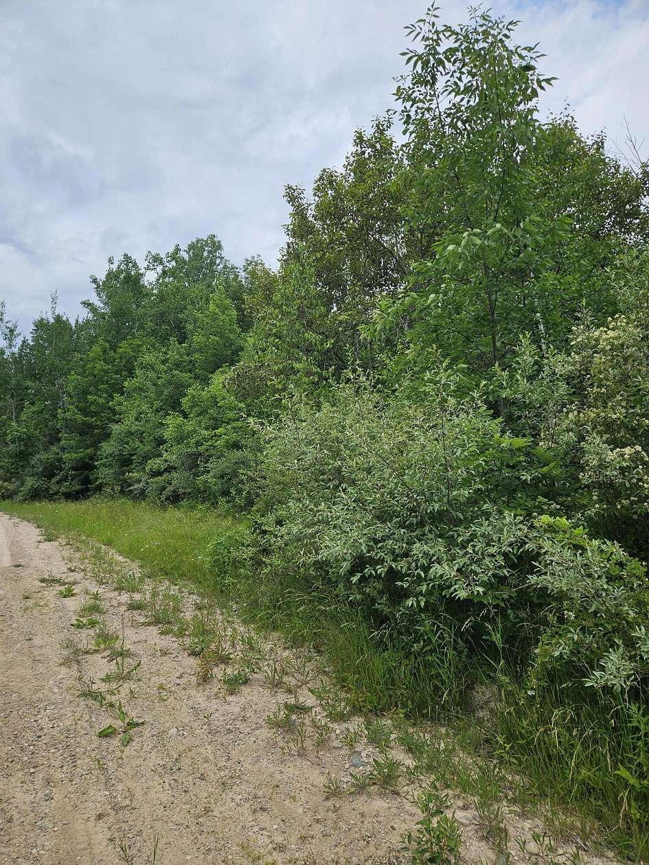 1.98 Acres of Residential Land for Sale in Evart, Michigan