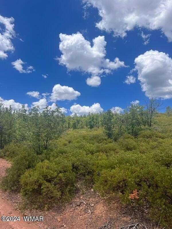 20 Acres of Recreational Land for Sale in Show Low, Arizona