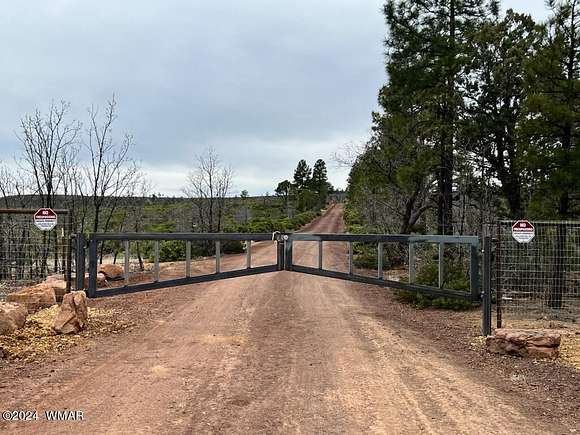 20.03 Acres of Recreational Land for Sale in Show Low, Arizona