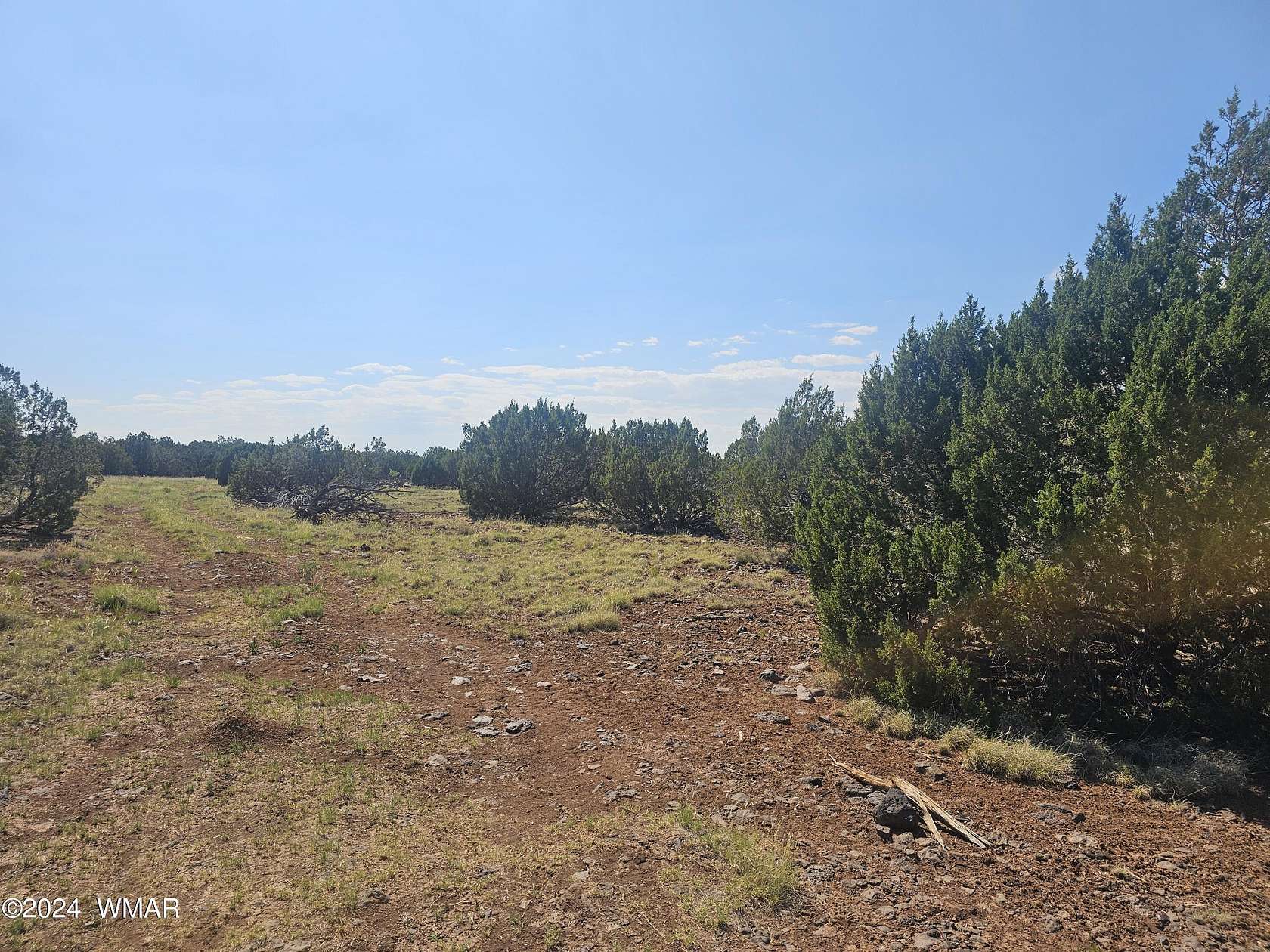 9.3 Acres of Residential Land for Sale in Show Low, Arizona