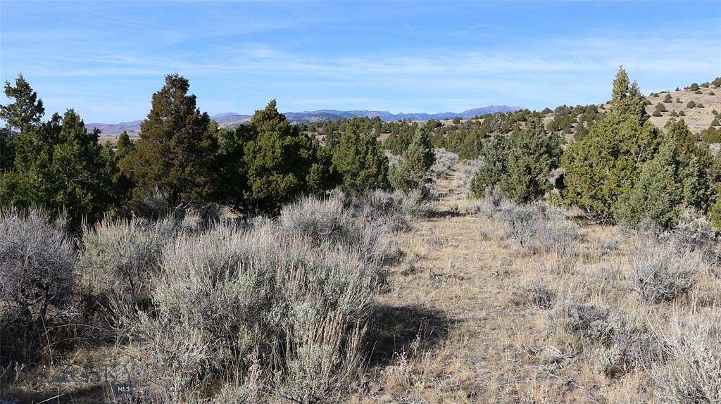 20.216 Acres of Land for Sale in Sheridan, Montana