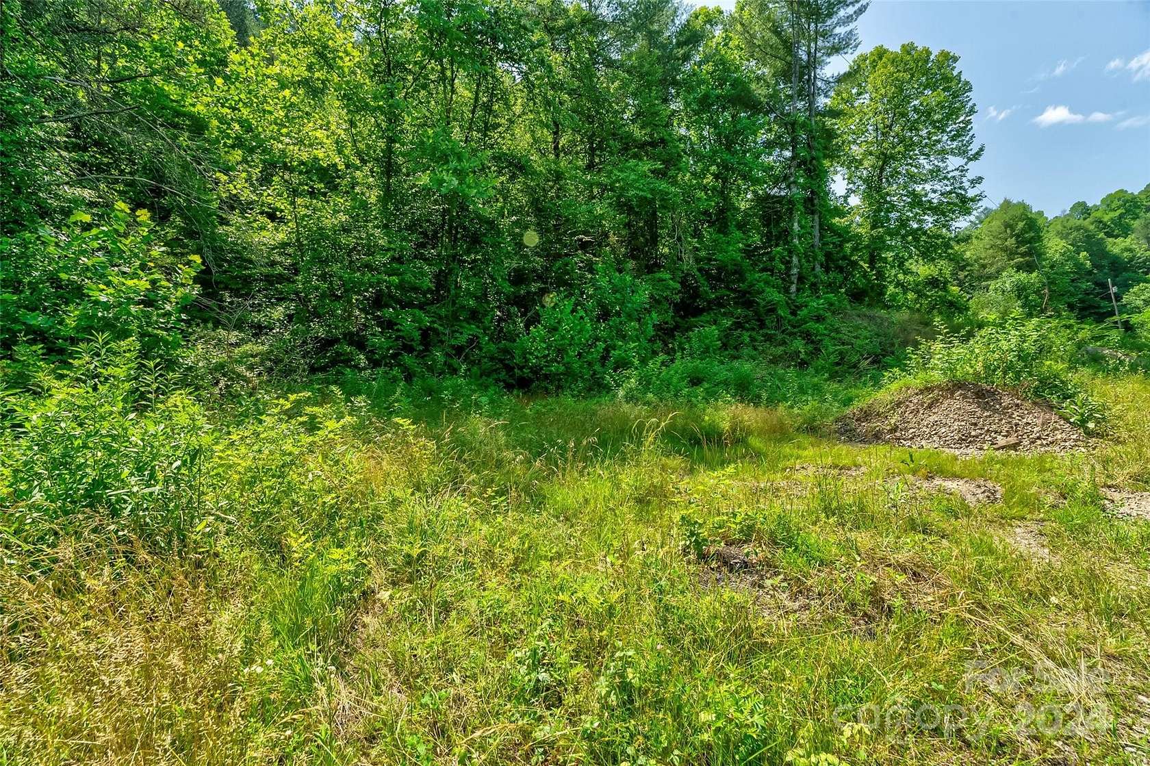 5.22 Acres of Land for Sale in Leicester, North Carolina