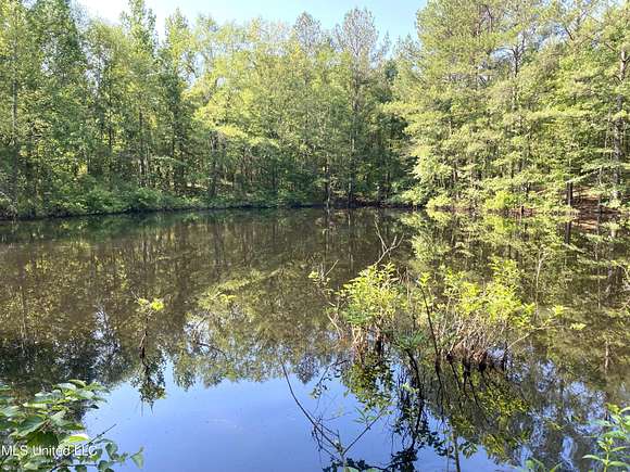15 Acres of Recreational Land for Sale in Walnut Grove, Mississippi