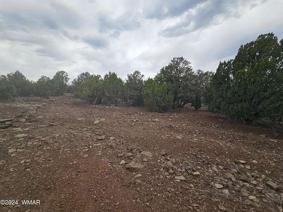 19.72 Acres of Land for Sale in Vernon, Arizona