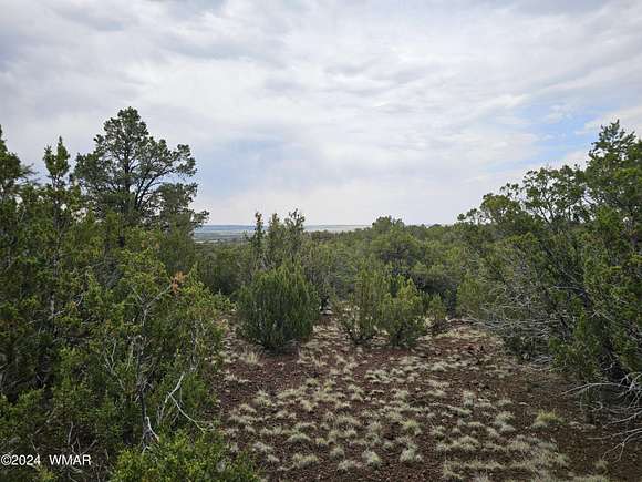 19.72 Acres of Recreational Land for Sale in Vernon, Arizona