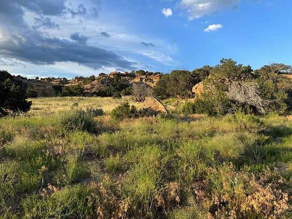 35 Acres of Recreational Land for Sale in Gardner, Colorado