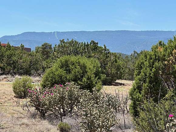 10.1 Acres of Land for Sale in Sandia Park, New Mexico