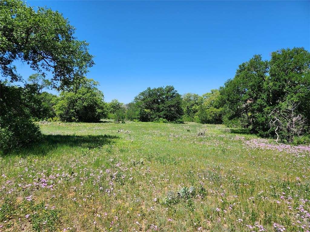 51.74 Acres of Recreational Land for Sale in Brownwood, Texas