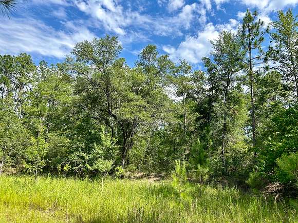 10.56 Acres of Land for Sale in Saraland, Alabama