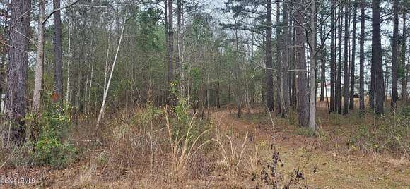 2.68 Acres of Residential Land for Sale in Varnville, South Carolina