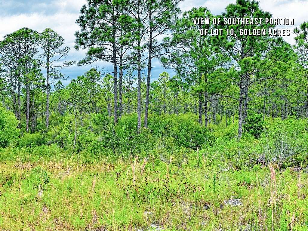 1 Acres of Residential Land for Sale in Eastpoint, Florida