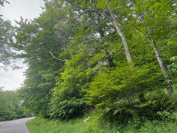 0.5 Acres of Residential Land for Sale in Sugar Mountain, North Carolina