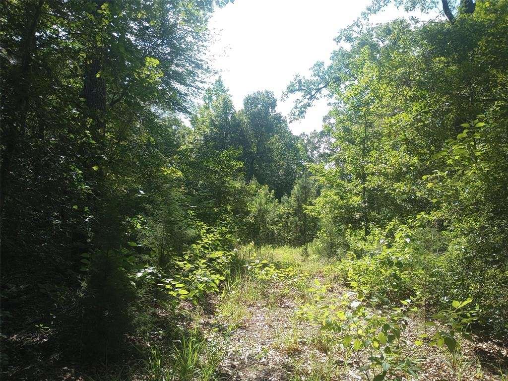 10 Acres of Residential Land for Sale in Avinger, Texas