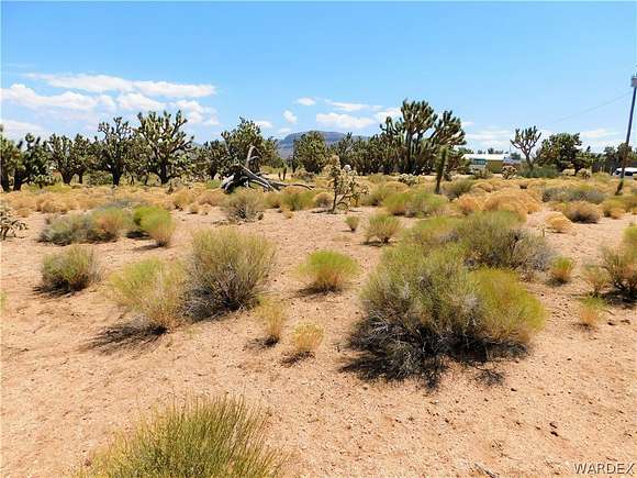 1.25 Acres of Mixed-Use Land for Sale in Meadview, Arizona