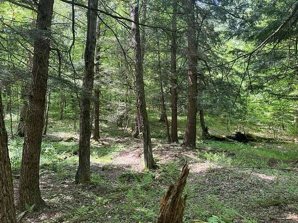 35 Acres of Recreational Land for Sale in Diana Town, New York