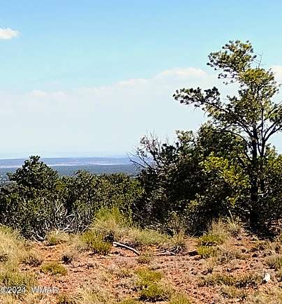 25 Acres of Land for Sale in St. Johns, Arizona