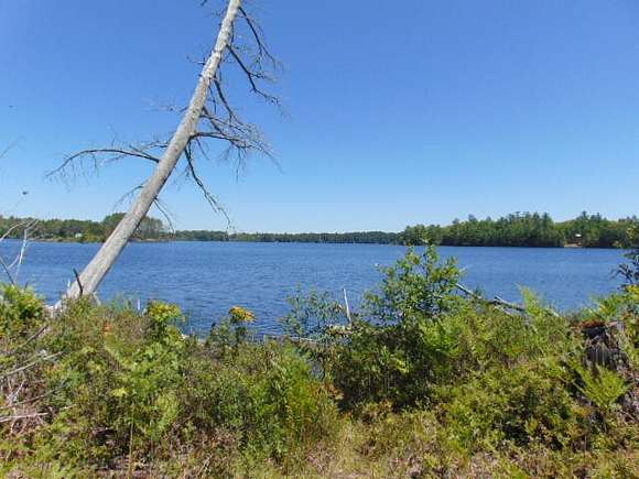 25 Acres of Recreational Land for Sale in Newberry, Michigan