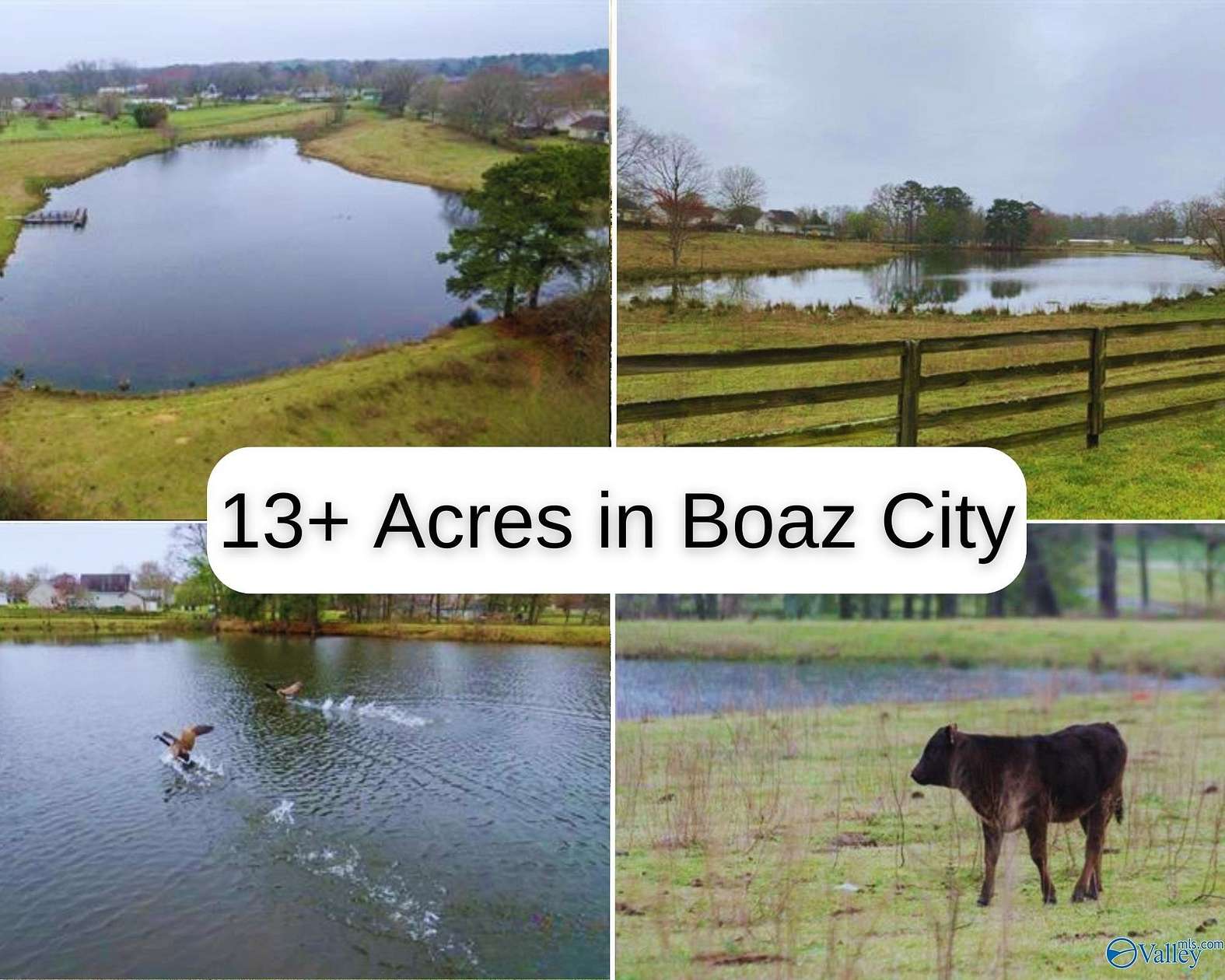 13.5 Acres of Agricultural Land for Sale in Boaz, Alabama