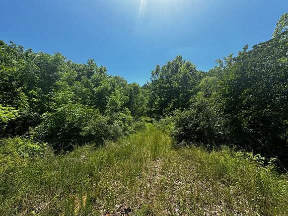 66.67 Acres of Recreational Land for Sale in Albany, Ohio