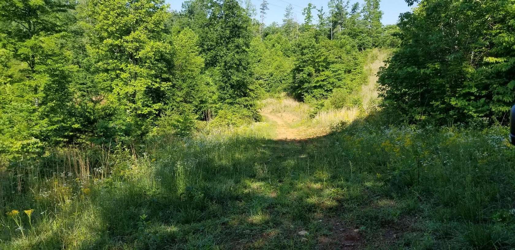 3.6 Acres of Land for Sale in Ferrum, Virginia