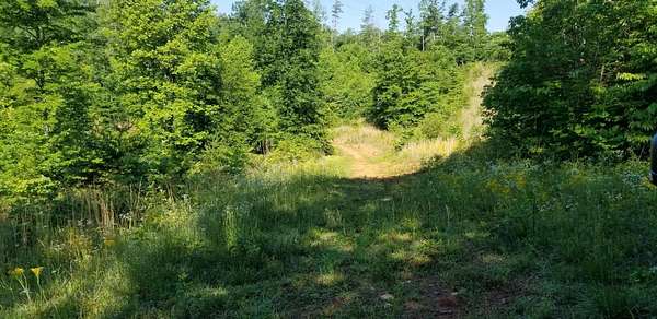 3.6 Acres of Land for Sale in Ferrum, Virginia