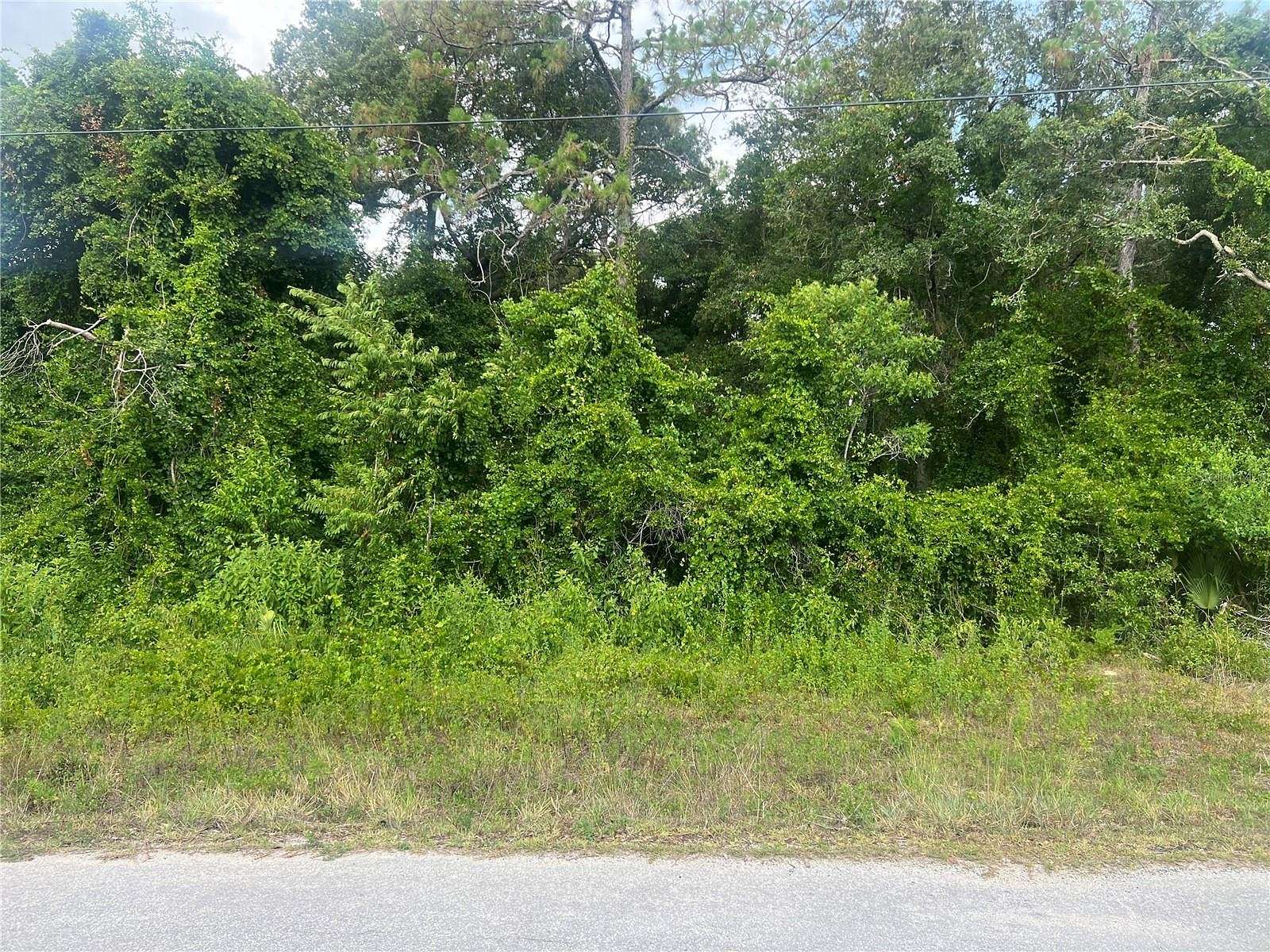 0.24 Acres of Residential Land for Sale in Silver Springs, Florida