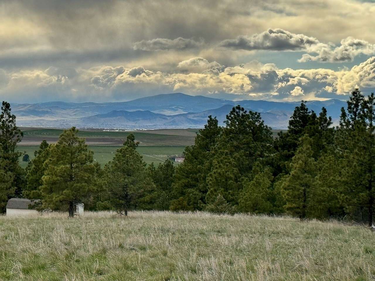 3.85 Acres of Residential Land for Sale in Helena, Montana