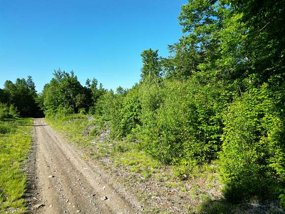 30.85 Acres of Recreational Land for Sale in Springfield, Maine
