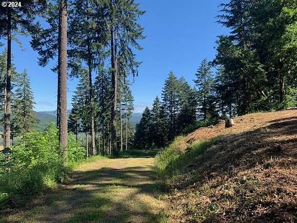 6.53 Acres of Residential Land for Sale in Springfield, Oregon
