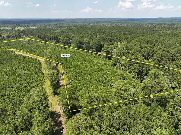 13.3 Acres of Land for Sale in Hemphill, Texas