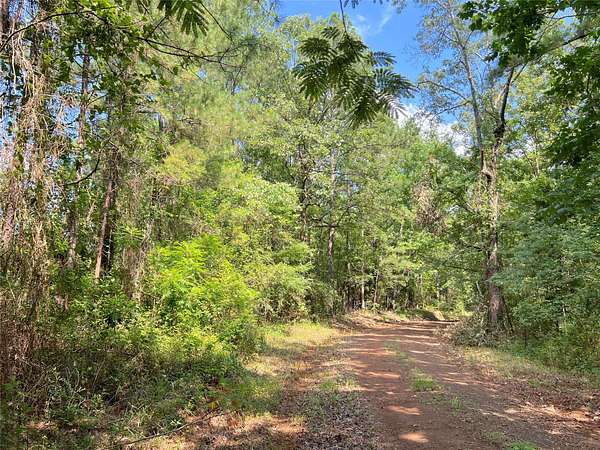 5.42 Acres of Land for Sale in Geneva, Texas