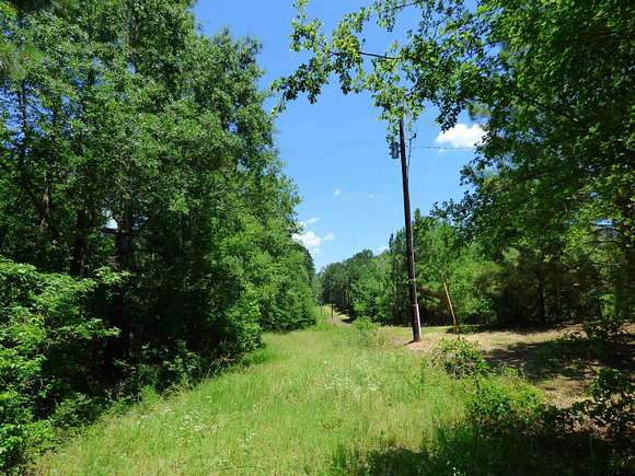 22.268 Acres of Land for Sale in Naples, Texas