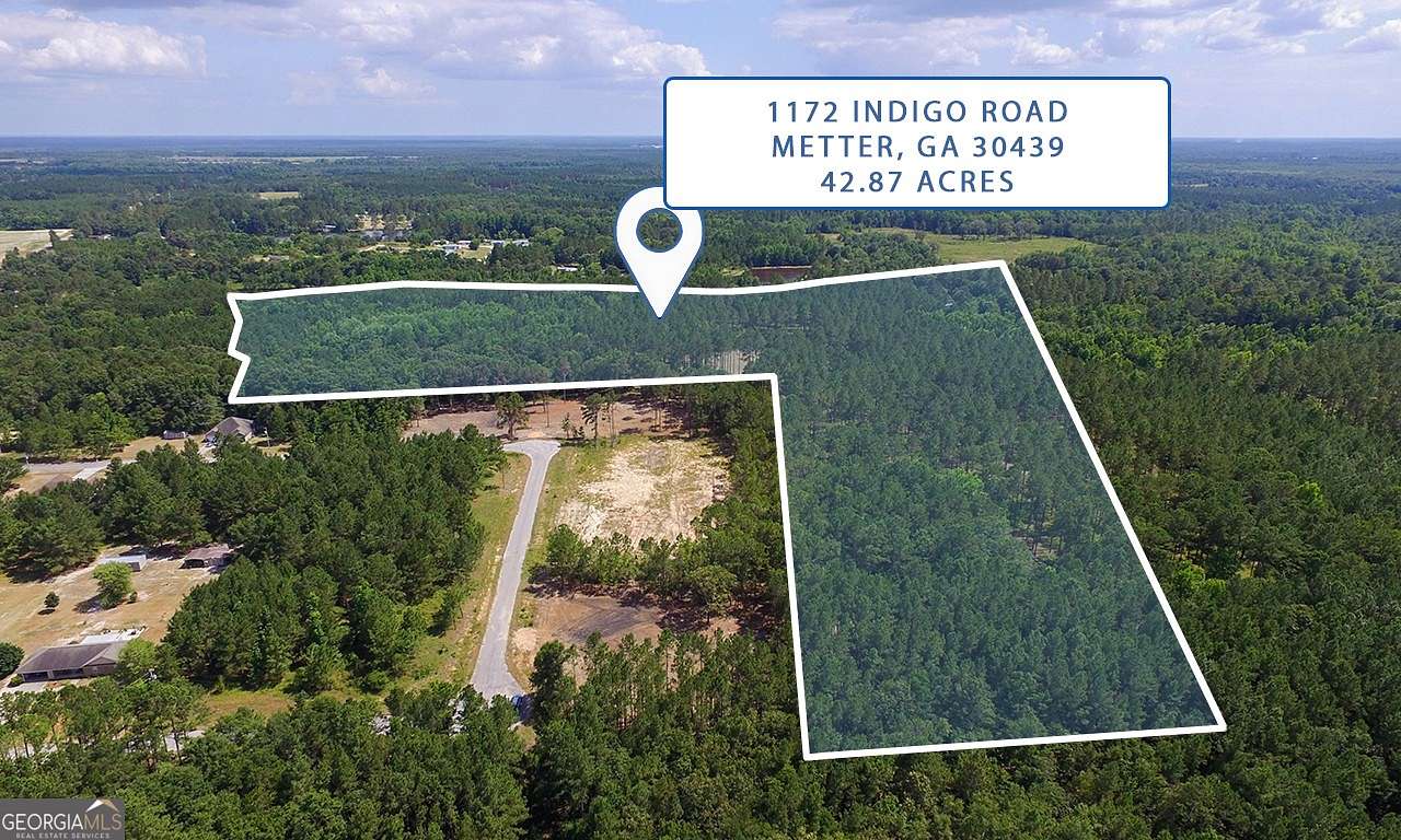 42.87 Acres of Recreational Land for Sale in Metter, Georgia