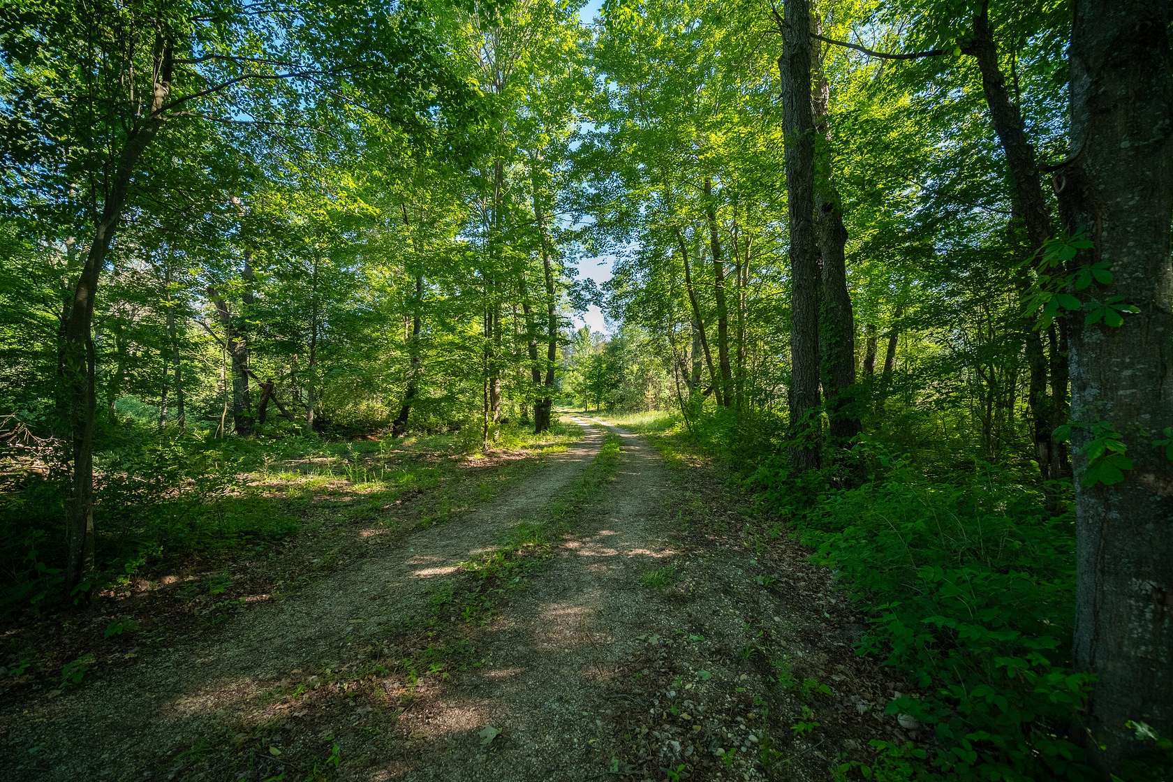 13 Acres of Recreational Land for Sale in Thompsonville, Michigan