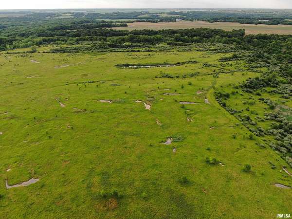 132 Acres of Land for Sale in Elmwood, Illinois