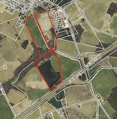 113 Acres of Agricultural Land for Sale in Rowland, North Carolina