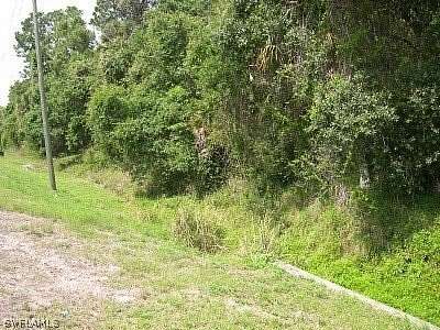 1.66 Acres of Land for Sale in LaBelle, Florida