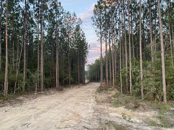 30.02 Acres of Land for Sale in Hattiesburg, Mississippi