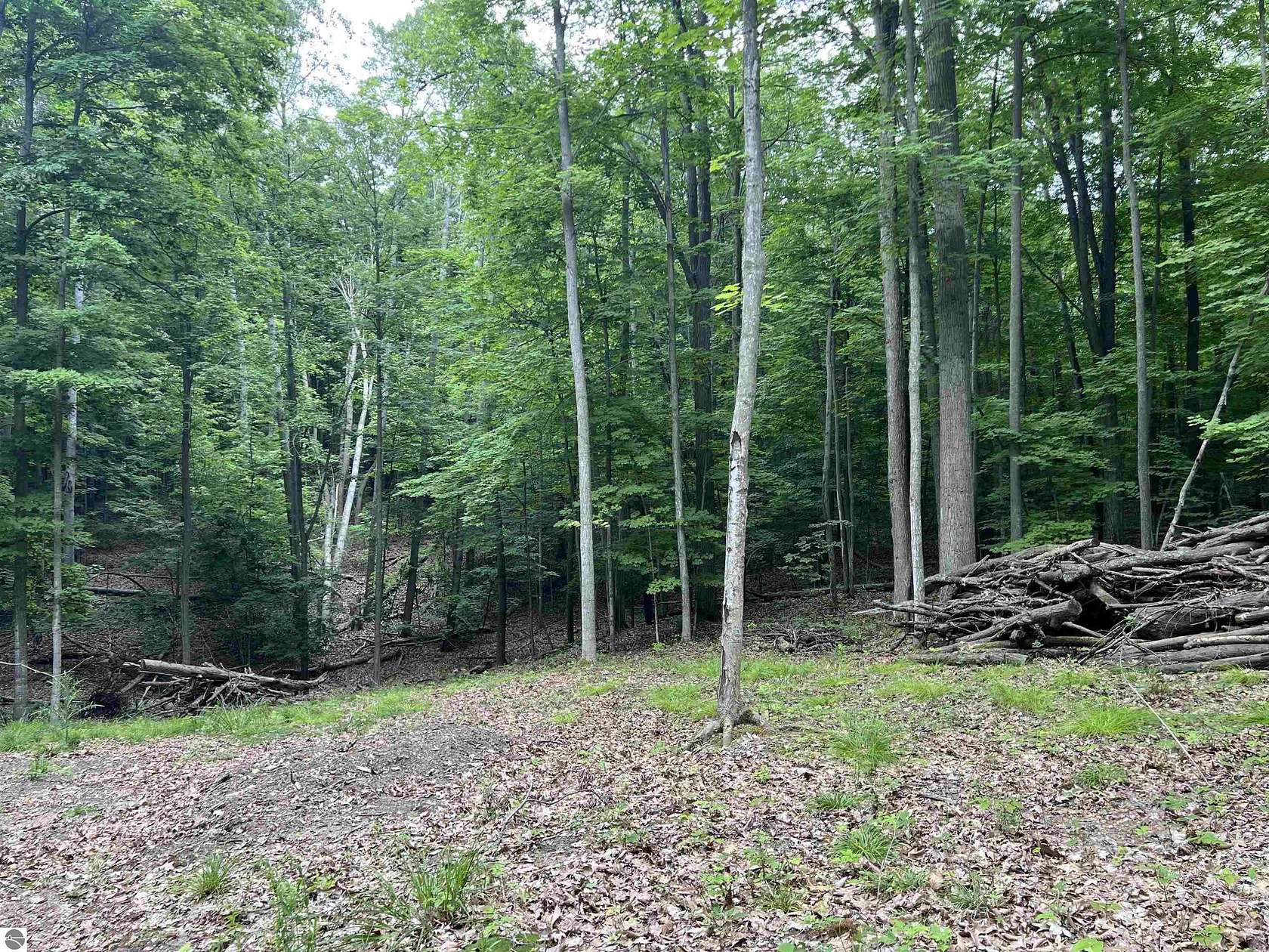 1.85 Acres of Residential Land for Sale in Traverse City, Michigan