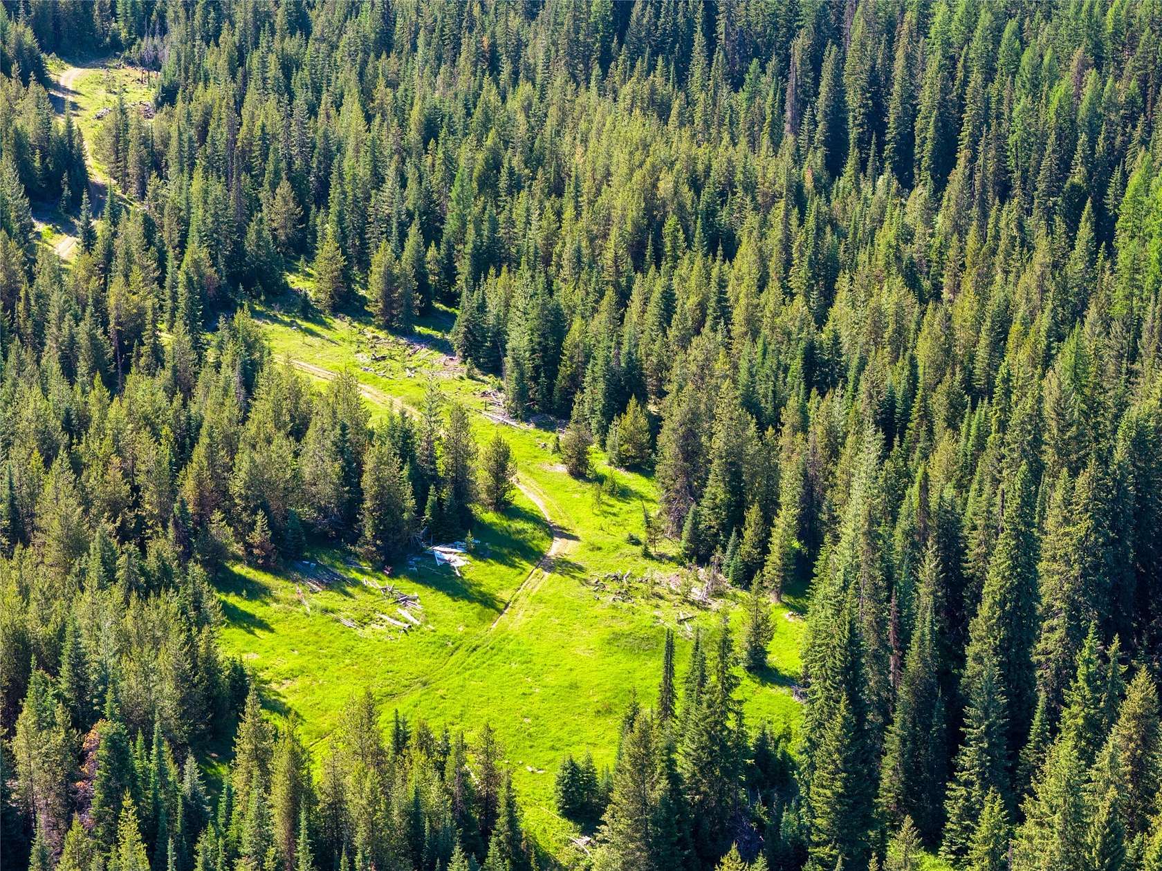 39 Acres of Recreational Land for Sale in Haugan, Montana