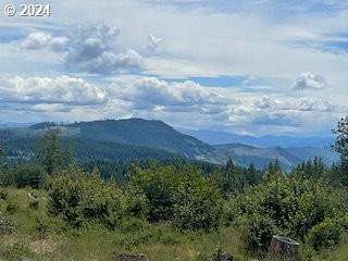 80 Acres of Recreational Land for Sale in Husum, Washington