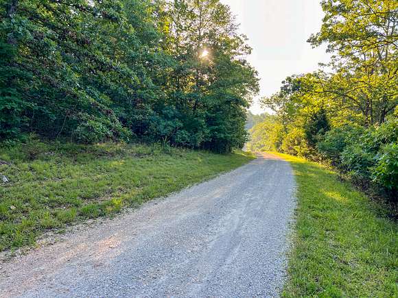 3 Acres of Land for Sale in Mountain View, Missouri