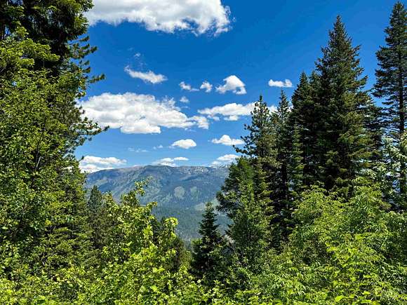 20 Acres of Recreational Land for Sale in New Meadows, Idaho