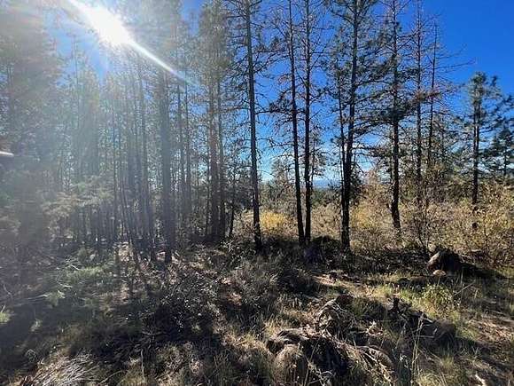 4.53 Acres of Residential Land for Sale in Bonanza, Oregon