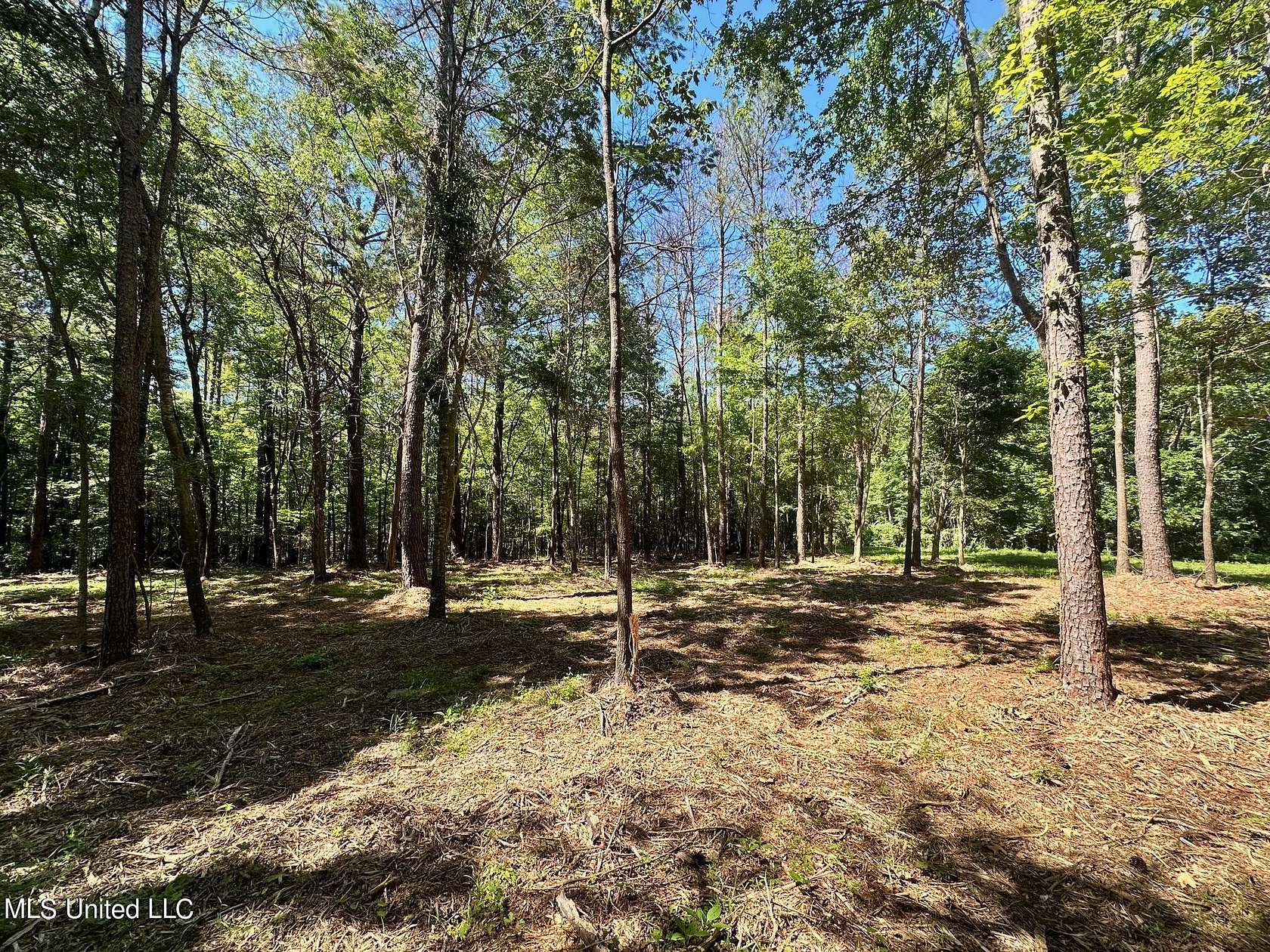 4.5 Acres of Land for Sale in Canton, Mississippi