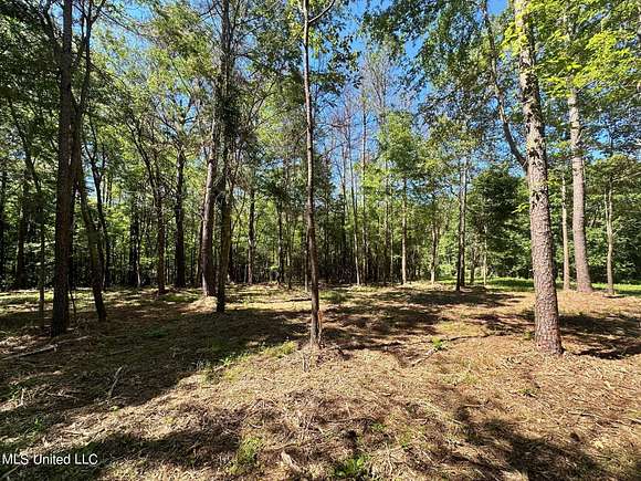 4.5 Acres of Land for Sale in Canton, Mississippi