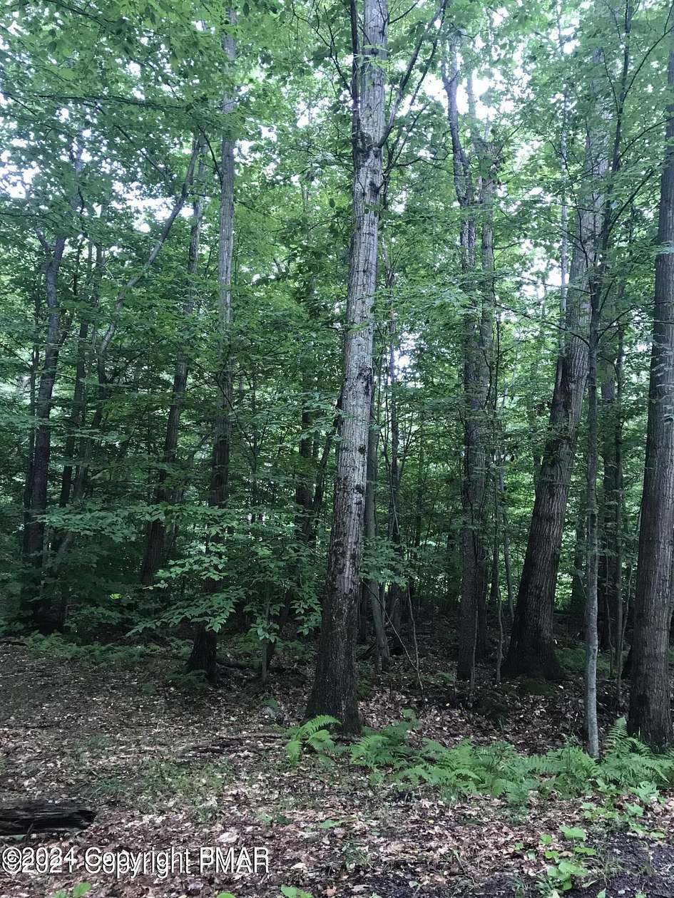 0.83 Acres of Residential Land for Sale in Pocono Lake, Pennsylvania