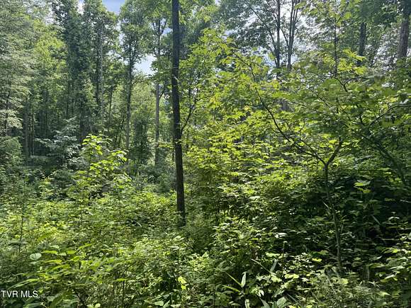 20 Acres of Recreational Land for Sale in Roan Mountain, Tennessee
