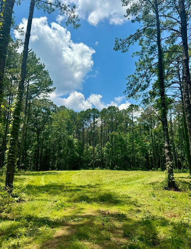 26 Acres of Recreational Land for Sale in Meadville, Mississippi
